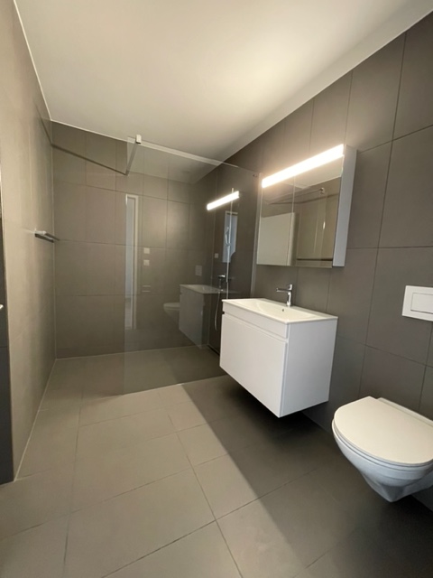 Nasszelle 3.5 Zimmerwohnung Haus 4